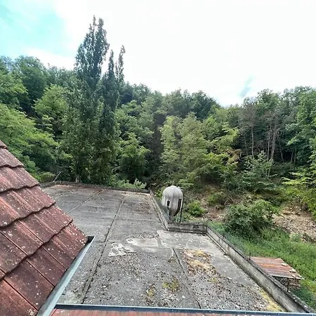 Au Petit Ecureuil Wintzenheim